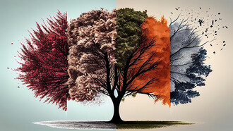 A tree illustrating the change of seasons, showcasing a spectrum of leaves in vibrant colors