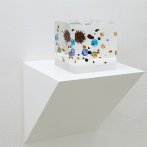 Satoshi Hirose, Beans Cosmos, 2014, resina acrilica, legumi, oro, mappa, marmo, plastica, frutto di Liquidambar styraciflua, 10 x 10 x 10 cm, Courtesy Galleria Umberto Di Marino, Napoli, Italy,
foto Danilo Donzelli
