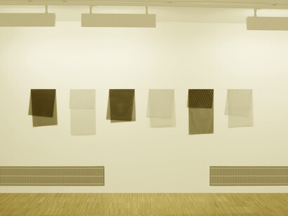 Grazia Varisco. Ri-velato Omaggio a F.M., 6 elementi, 2015