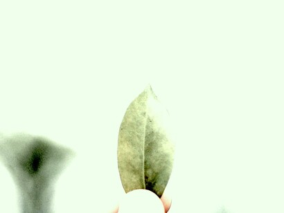 Nadie puede morir después de muerto