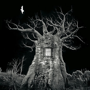Darkroom Surrealist. Courtesy of Fabian & Claude Walter Galerie