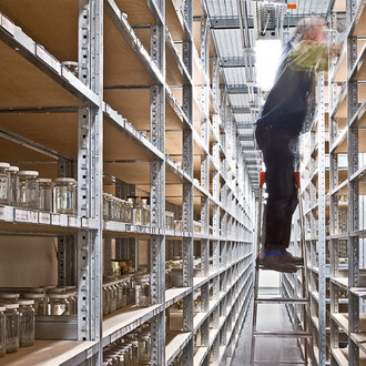 The Wet Collections. Courtesy of Museum für Naturkunde