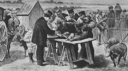 La résistance des vétérinaires conduira Pasteur à relever le défi