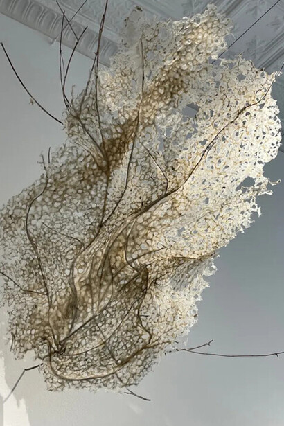 New sculptures.
Su trabajo representa la naturaleza, así como fantasías, recuerdos y flashes de la memoria 