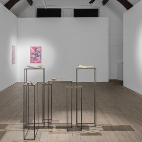 Shiraz Bayjoo, To desir, mo lamor, exhibition view. Courtesy of Copperfield Gallery