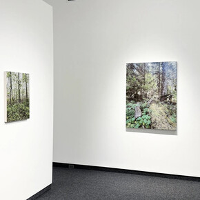 Kirstin Lamb, The woods, exhibition view. Courtesy of Gallery Naga