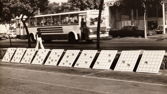 Eugenio Espinoza, Untitled, 1971, Installation view Sala Mendoza, Caracas, 1971. Ten screenprints on wooden boards, 39 3/4 x 29 1/2 inches each, Courtesy the artist