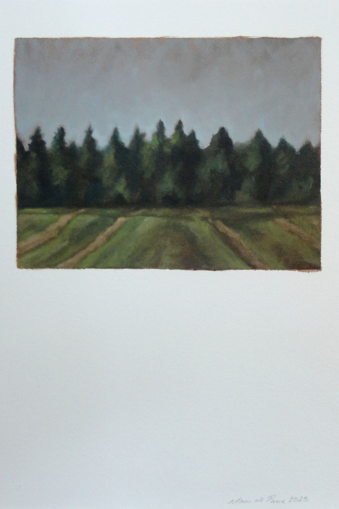 Mauricio Parra, Gludstedflorest, 38,5 x 28,8 cm. Courtesy of Galeria Mezanino