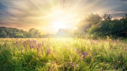 Il rispetto della natura