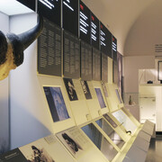 A glance around the exhibition “Bern and the 20th century”
© Bernisches Historisches Museum, Bern. Photograph Christine Moor