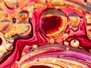 La complessità del mondo rende impossibile il controllo assoluto e rende necessaria una nuova responsabilità condivisa