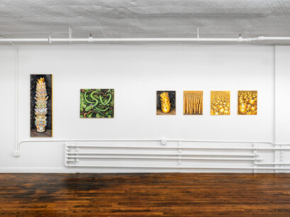 Robert Hawkins: Dream Mine at Off Paradise, New York, installation view, photograph by
Dario Lasagni. Courtesy of the artist and Off Paradise, New York
