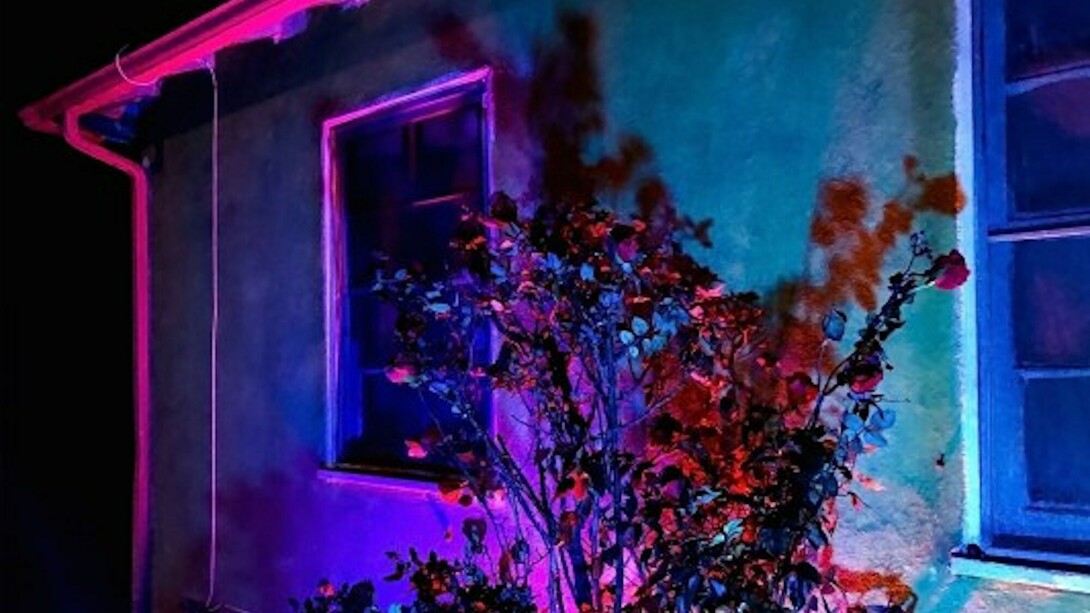 Faux Realities, Exhibition view. Courtesy of Annka Kultys Gallery