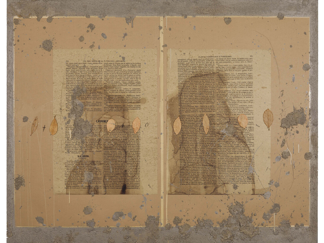 Courtesy Ricardo Brey & Galerie Nathalie Obadia Paris / Brussels © We Document Art