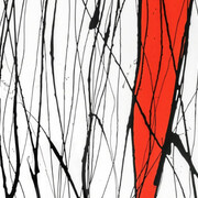 Serena Maisto. Courtesy of Cortesi Gallery