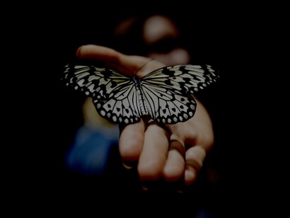 Mariposa en mano