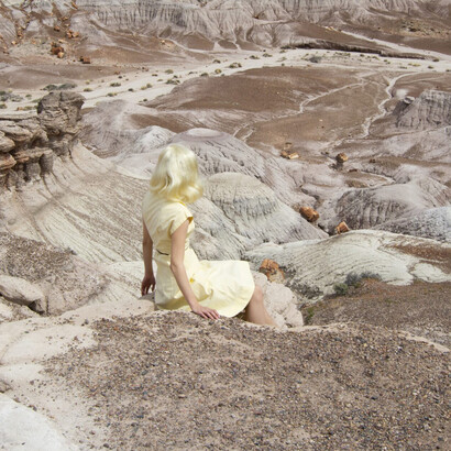 Nicole Cudzilo, Petrified forest, ed. 1/12, 2019. Courtesy of Gerald Peters Contemporary