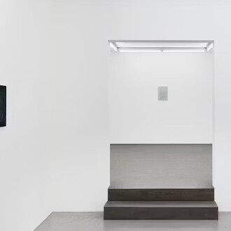 Sarah Pillen, From the field, vue de l'exposition. Avec l'aimable autorisation de la Galerie Hopstreet