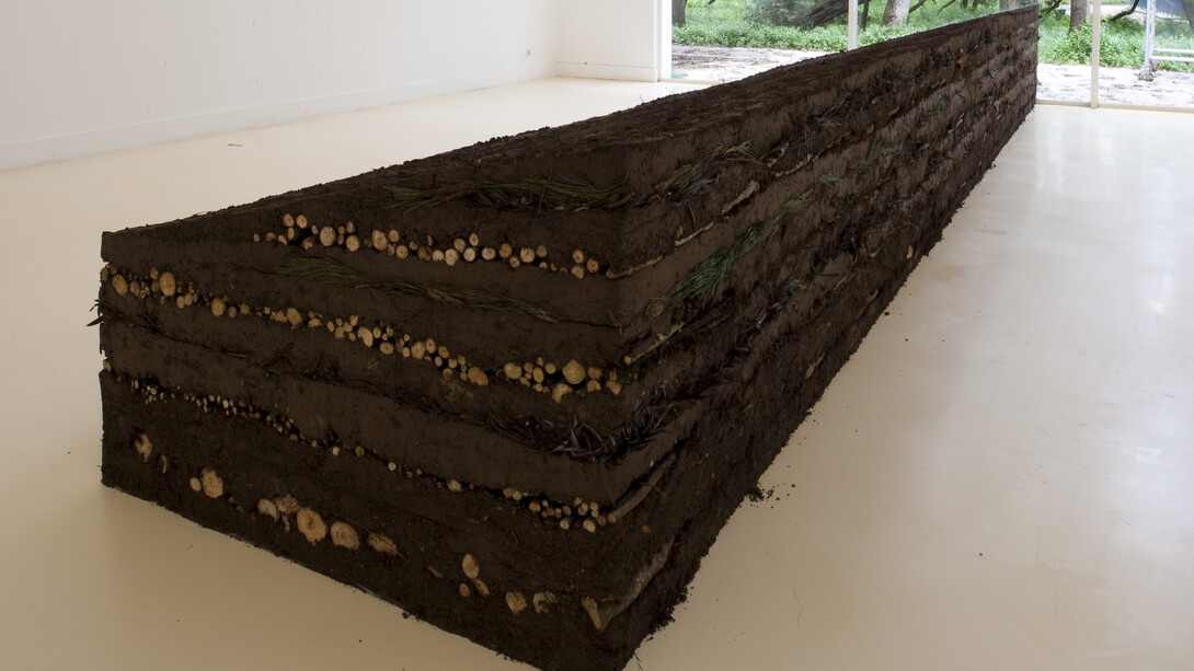 Gabriela Albergaria, Couche Sourde, 2014, soil, tree leaves and branches, Variable dimensions. Photo courtesy of the artist