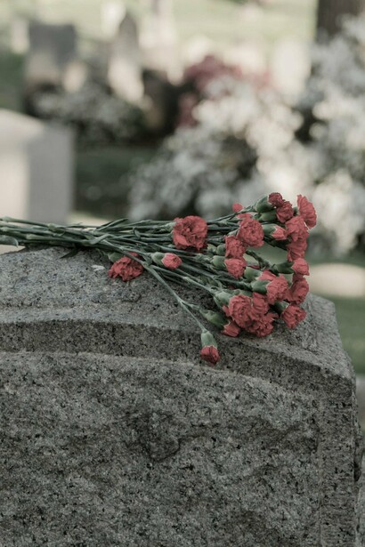 Me entretengo leyendo cada una y me imagino que estoy frente a una biblioteca que narra historias vividas y desaparecidas tiempo atrás
