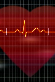 Tracciato del cuore. Conoscere e curare il cuore: l'importanza della formazione diffusa per la prevenzione e l'intervento tempestivo