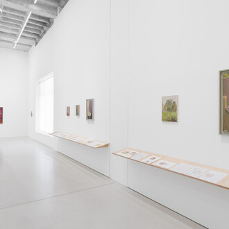 Diana Cepleanu, exhibition view. Courtesy of Galeria Plan B 