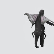 Malte Uchtmann, Ant*hology: de/bugging the cultural history of ants (video still), 2025. Courtesy of Staatsgalerie Stuttgart