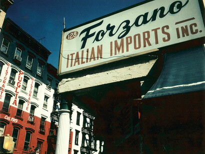 My New York. 100 Polacolor Photos/1985