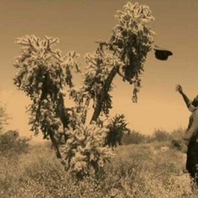 Samson Kambalu, Exhibition view. Courtesy of NSU Art Museum