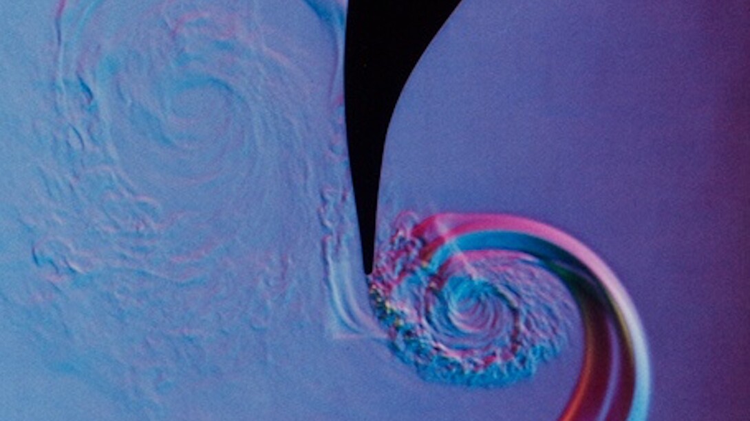 Koret Family Gallery. Art and Science. Courtesy of San Jose Museum of Art