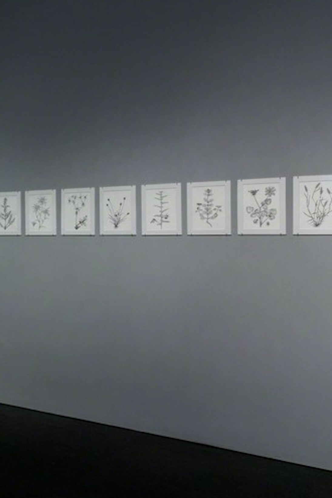 Hammer Projects: Marwa Arsanios, Exhibition view. Courtesy of Hammer Museum