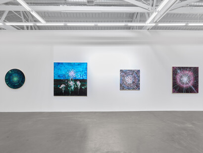 Lia Halloran, Night watch, exhibition view. Courtesy of Luis De Jesus Los Angeles
