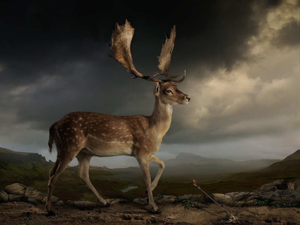 Joseph McGlennon, Skyestag 2