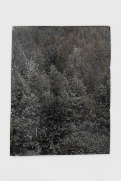 Dörte Eißfeldt, ausstellungsansicht. Mit freundlicher genehmigung der Galerie Thomas Fischer