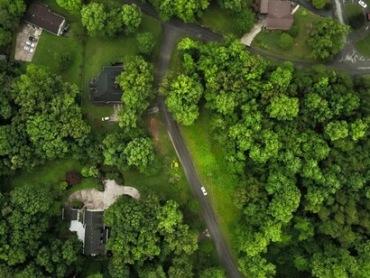 Le foreste urbane sono più efficaci quando vengono integrate con parchi, corridoi verdi e aree permeabili