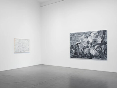 Carl Hammoud, A way not to explore the past, but to manipulate the present, exhibition view. Courtesy of Galleri Magnus Karlsson