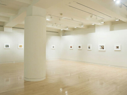 Stephen Shore. Courtesy of Edwynn Houk Gallery