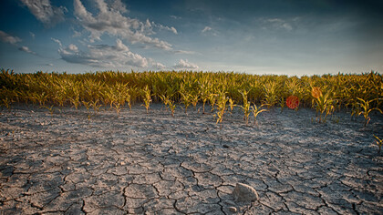 The consequences of climate change 