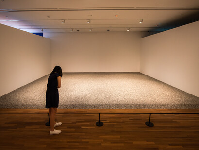 Ai Weiwei
Sunflower Seeds
2010
Porcelain
Display dimensions variable
Purchased with assistance from Tate International Council, the American Patrons of Tate, the Art Fund, and Stephen and Yana Peel 2012
Collection of Tate
© Ai Weiwei
