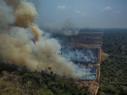 According to MAAP, 67% of major fires in the Brazilian rainforest have burned recently deforested areas