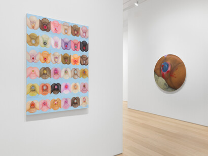 Various artists, Under the skin, exhibition view. Courtesy of Asya Geisberg Gallery