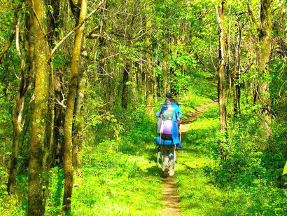 ¡Buen camino!