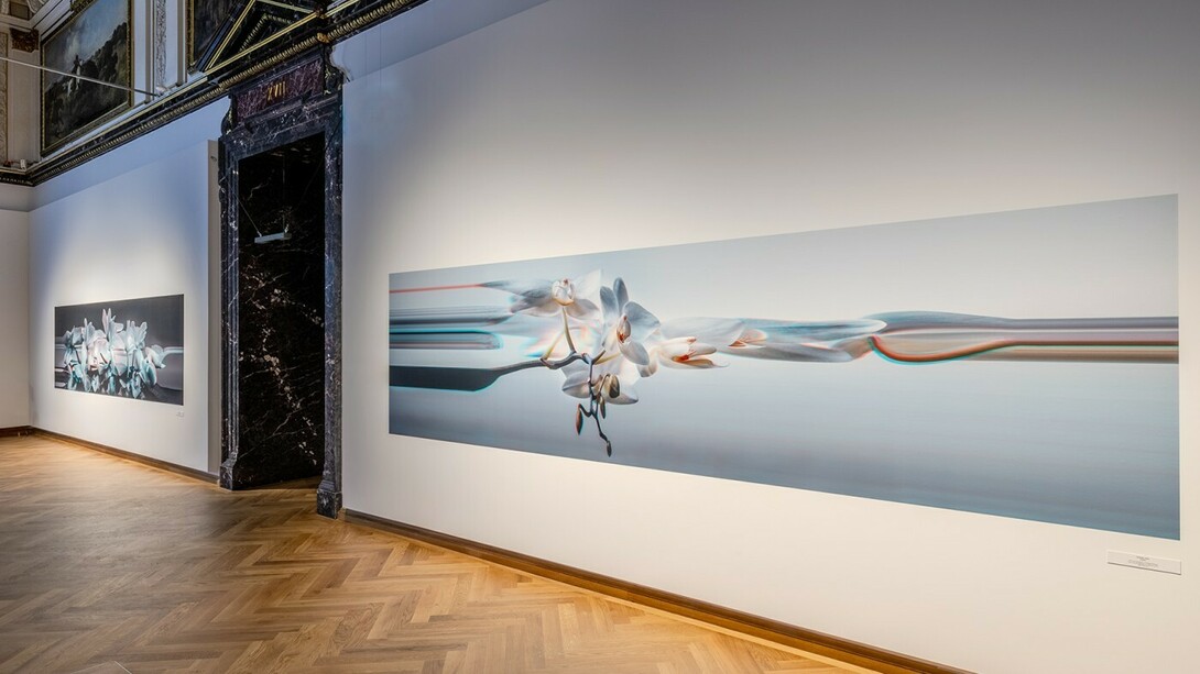 Sebastian Cramer, Two views on plants, exhibition view. Courtesy of Naturhistorisches Museum Wien 