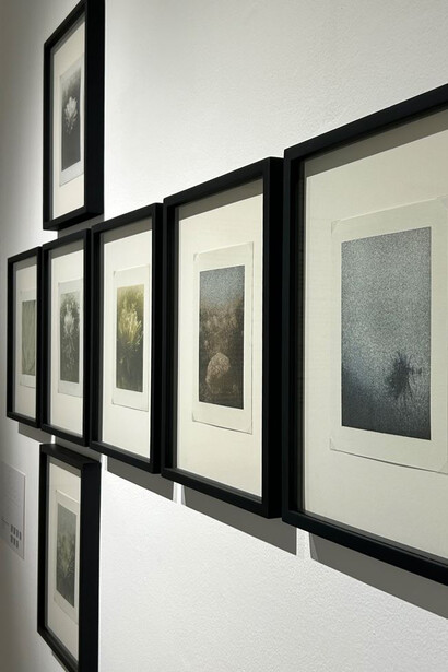 Camilo Sabogal, Drifts from a frozen moment, exhibition view. Courtesy of El Dorado Space 