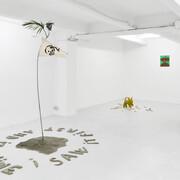 Anthony Coleman e Guadalupe Salgado, Near to singularity, unclear which side… vista della mostra. Per gentile concessione di The Flat - Massimo Carasi