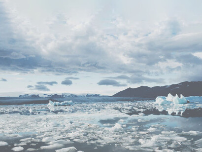 Do you trust that global, governmental leadership is capable of creating essential and effective remedies? 