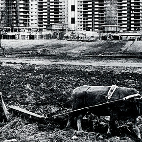 Jun Min Cho, Gangnam view of Hyundai apartment blocks. Courtesy of Museum Rietberg