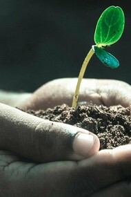 Ogni foglia che cade nutre il germoglio che rifiorirà a primavera, la vita e la morte sono compresenti nel passaggio delle stagioni. L’esistenza è circolare e la natura ce lo insegna