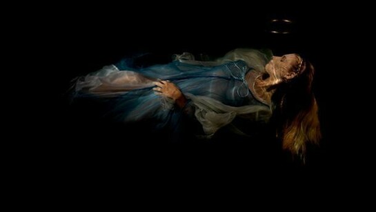 Alexander James, Martyred Ophelia, 2012