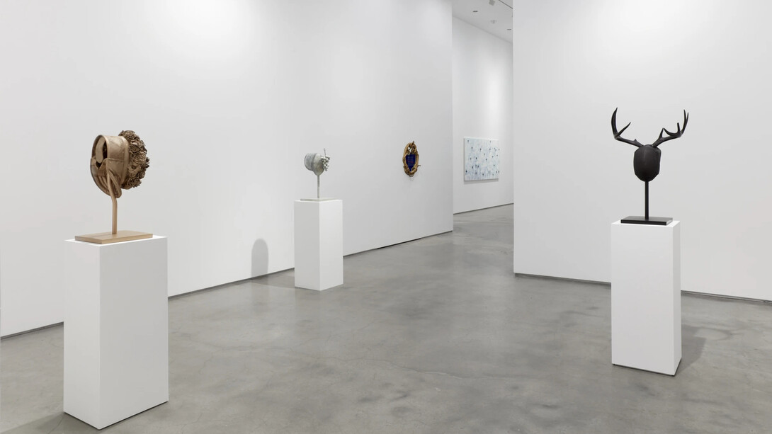 Allison Janae Hamilton, Celestine, exhibition view. Courtesy of Marianne Boesky Gallery